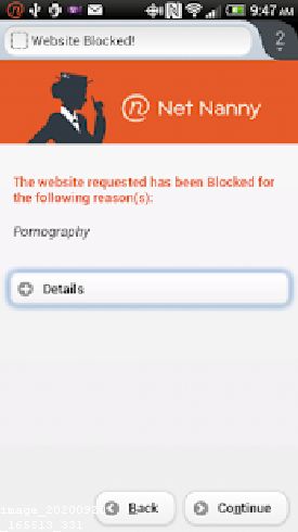 Best Net Nanny for Ipad