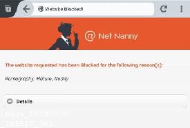 Net Nanny Filter Youtube