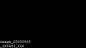 Net Nanny Browser Support