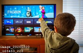 Net Nanny 5.1 With Key