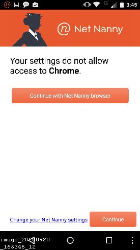 Does Net Nanny Work on Safari